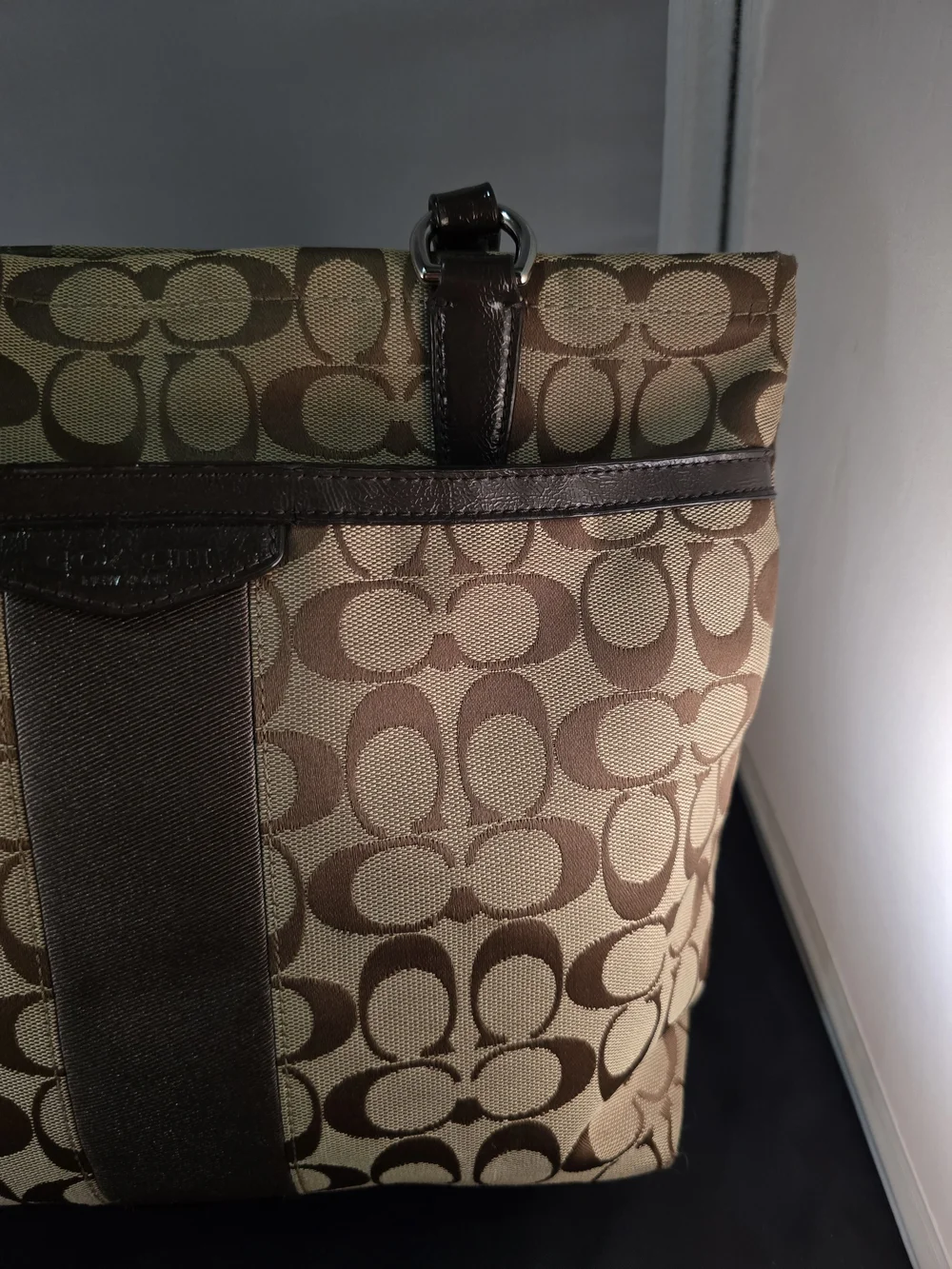 Coach Signature Canvas Tote Bag in Brown